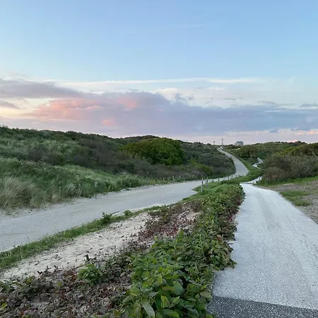 Gæstehus Luxury In Quiet Neighbourhood Near Haag