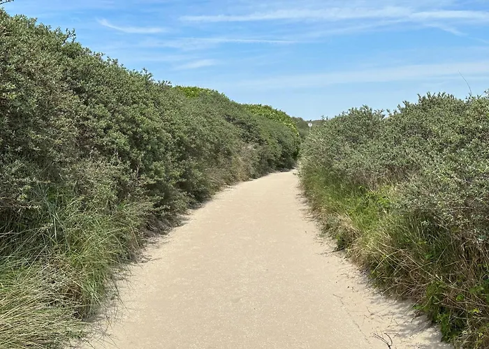 Konukevi Luxury In Quiet Neighbourhood Near Lahey