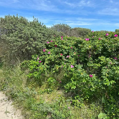 Luxury In Quiet Neighbourhood Near *