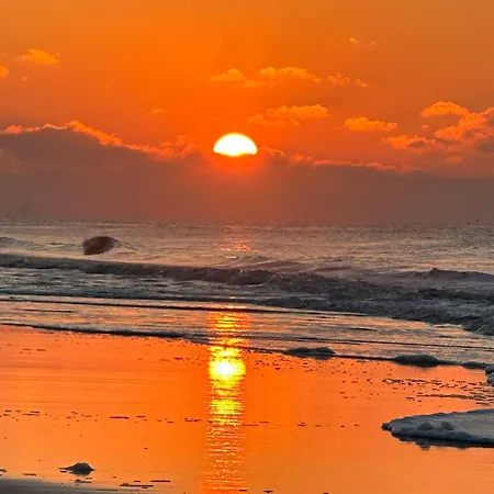 Luxury In Quiet Neighbourhood Near Oda ve Kahvaltı