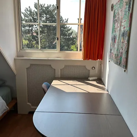 Luxury In Quiet Neighbourhood Near Pensión *