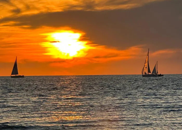 Guest house Luxury In Quiet Neighbourhood Near The Hague