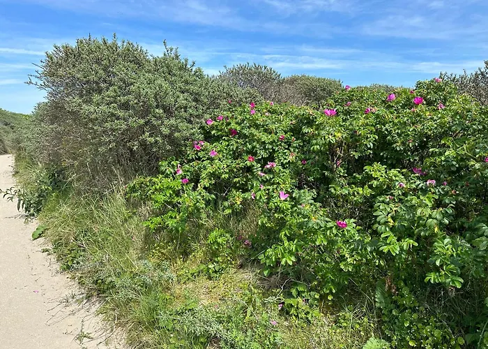 Luxury In Quiet Neighbourhood Near *